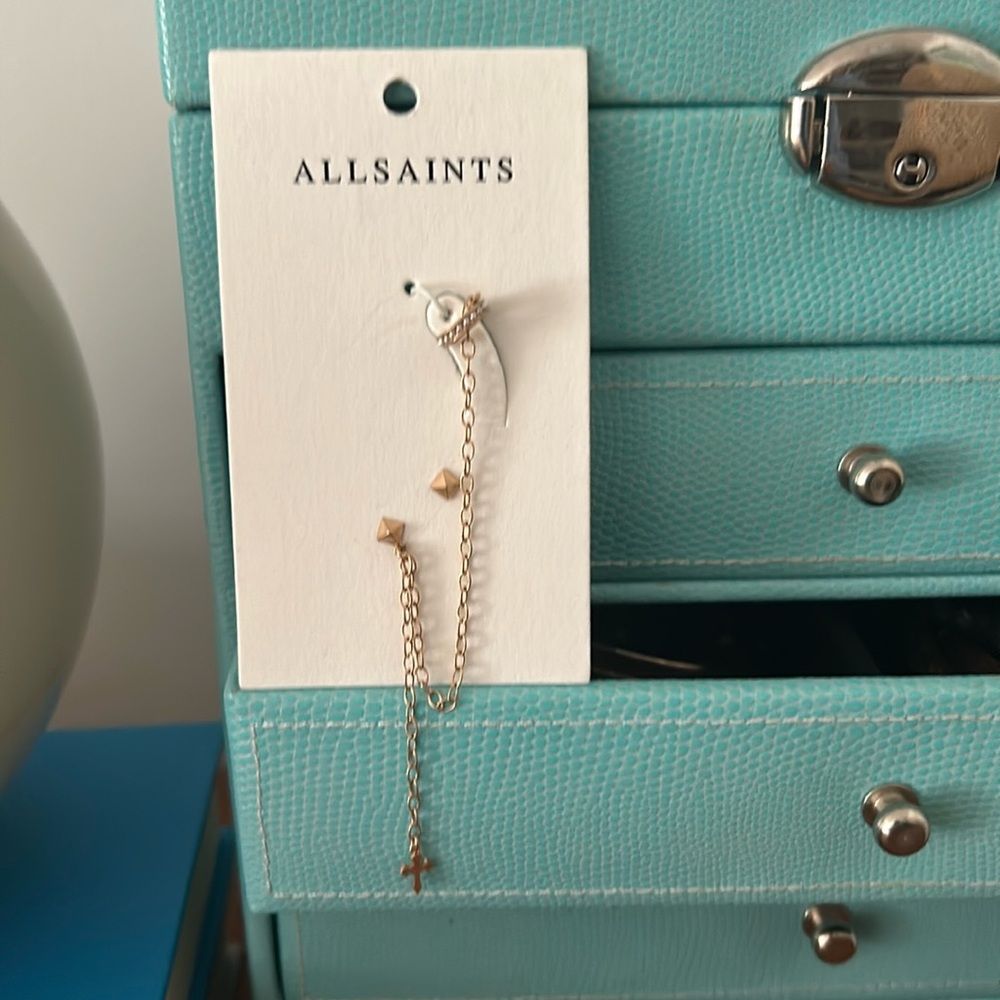 All Saints NEW earnings
